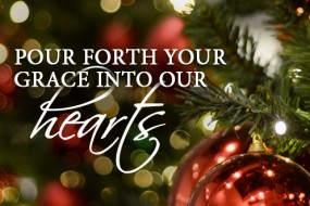 Advent_cyclec_OT_11_496x331