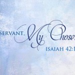 Here is my Servant