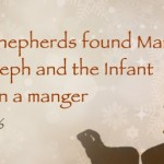 The Shepherds