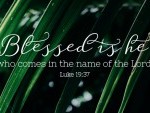 Sunday_06_PalmSunday_cycleC_OT_2_496x331-170x113