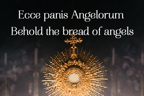 corpus_christi_a_1_496x331