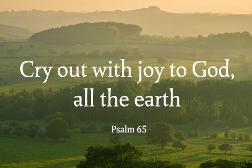 14th_sunday_c_1_496x331