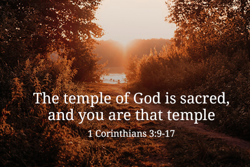 dedication_lateran_basilica_2_496_331