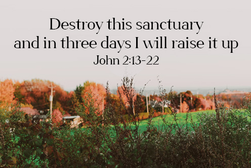 dedication_lateran_basilica_3_496_331-1